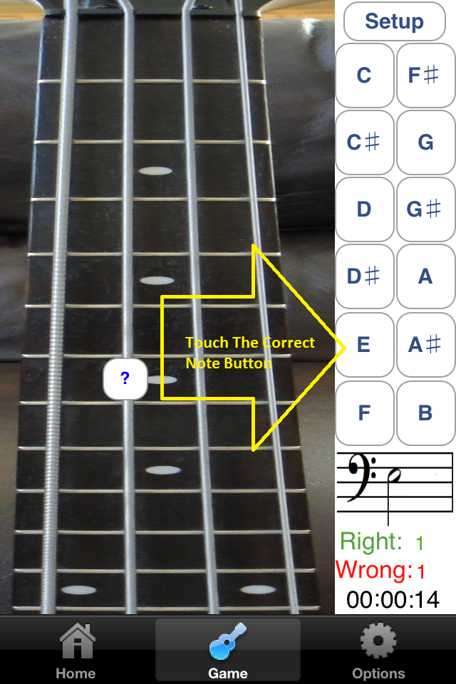 Bass Fretboard Addict